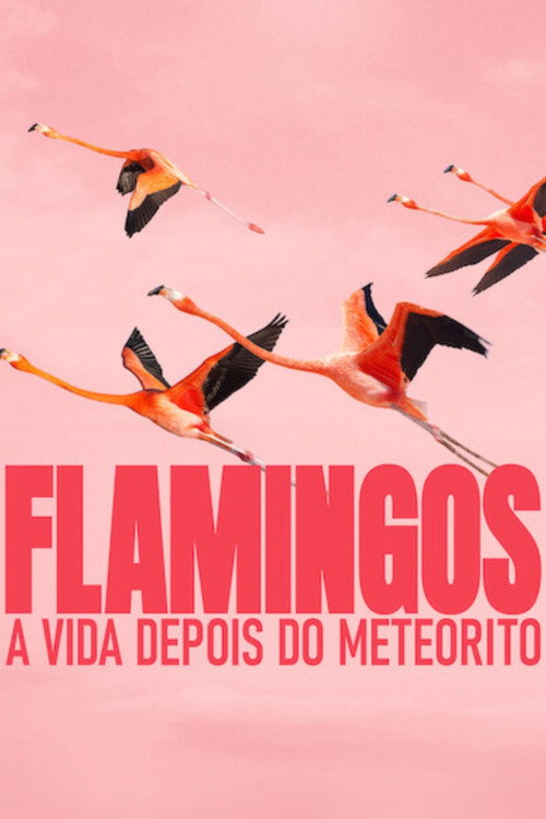 Flamingos: A Vida Depois do Meteorito (2025)
